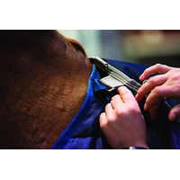 Produktbild von Horseware Pony Liner Decke Blau 200g 4-6 Zoll - 200 g