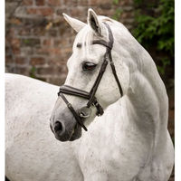Produktbild von Horseware Pony-Trense Flash aus Leder in Braun
