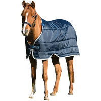 Produktbild von Horseware Pony Unterdecke aus Polyester 300g Blau Silber