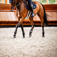 Produktbild von Horseware Pro Bamboo Fesselgamaschen für Pferde Schwarz Größe M