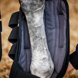 Horseware Pro Bamboo Stable Gamaschen für Pferde aus Neopren Schwarz Größe L – Bild 1 von 5