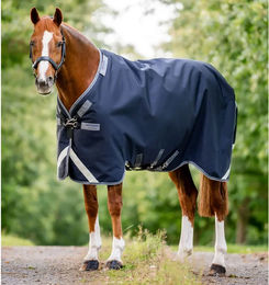 Horseware Rambo 1680D Turnout Outdoor-Decke für Pferde 50g Navy/Thunderstorm Grey & Silver 140 cm – Bild 1 von 4