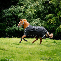 Produktbild von Horseware Rambo 1680D Turnout Pferdedecke Blau Grau Silber 160