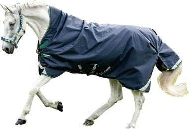 Horseware Rambo 1680D Wug Turnout Weidedecke für Pferde 200g Navy/Hunter Green & Silver Größe 160 – Bild 1 von 1