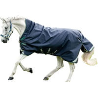 Produktbild von Horseware Rambo 1680D Wug Turnout Weidedecke für Pferde 200g Navy/Hunter Green & Silver Größe 160