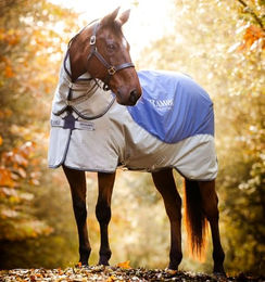 Horseware Rambo Autumn Series Pferdedecke Grau/Blau Größe 75 – Bild 1 von 1