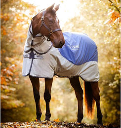 Horseware Rambo Autumn Series V3 Outdoor-Pferdedecke mit 100g Liner Blau 130 cm – Bild 1 von 11