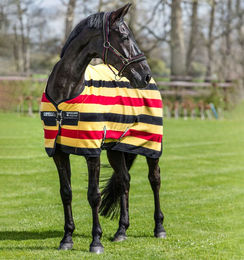 Produktbild von Horseware Rambo Deluxe Fleece Abschwitzdecke für Pferde Bunt