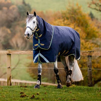 Produktbild von Horseware Rambo Duo Force 2.0 Pferdedecke aus Nylon in Blau und Türkis