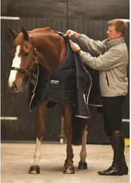 Horseware Rambo Duo Liner Unterdecke für Pferde 400g Blau 140 cm - 400 g – Bild 1 von 3