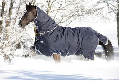 Horseware Rambo Duo Outdoor-Decke für Pferde mit 100g Füllung in Blau/Schwarz – Bild 1 von 4