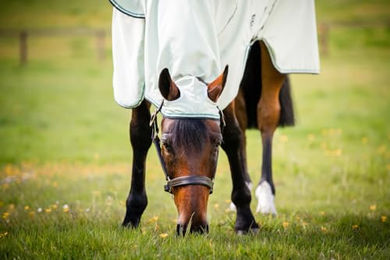 Horseware Rambo Hoody Ekzemerdecke Fliegendecke für Pferde Grün 140 – Bild 1 von 4