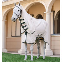 Produktbild von Horseware Rambo Hoody UV-Schutzdecke für Pferde XL Weiß Grün Silber