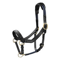 Produktbild von Horseware Rambo Micklem Halfter aus Kunstleder Schwarz XL