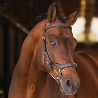 Produktbild von Horseware Rambo Micklem Multi Trense aus Leder Braun XL