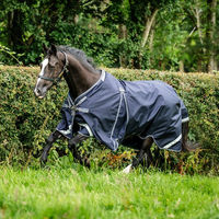 Produktbild von Horseware Rambo Optimo Original Turnout 0g Pferdedecke aus Nylon in Blau Grau oder Silber