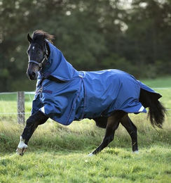 Horseware Rambo Optimo Plus Bundle Weidedecke für Pferde mit 200g Fütterung – Bild 1 von 3