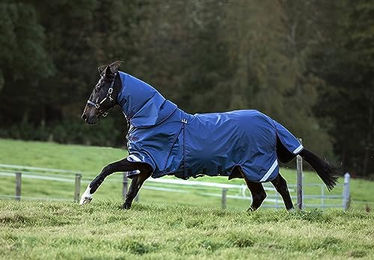Horseware Rambo Optimo Turnout Decke für Pferde in Blau und Bordeaux – Bild 1 von 1