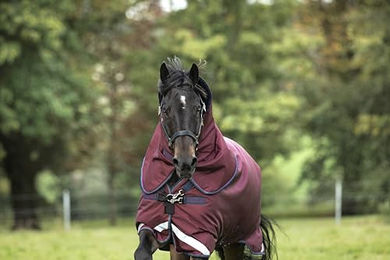 Produktbild von Horseware Rambo Original Hood Lite Pferdedecke Burgundy XL