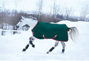 Horseware Rambo Original Turnout Heavy 400g Pferdedecke Grün/Rot 145 cm - 400 g – Bild 1 von 2