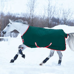 Horseware Rambo Original Turnout Heavy Pferdedecke 400g Grün/Rot 165 cm - 400 g – Bild 1 von 8