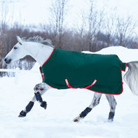 Produktbild von Horseware Rambo Original Turnout Heavy Pferdedecke 400g Grün/Rot 165 cm - 400 g