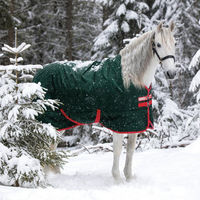 Produktbild von Horseware Rambo Original Turnout Heavy Pferdedecke 400g Grün/Rot