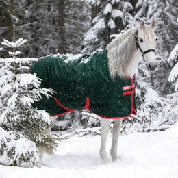 Produktbild von Horseware Rambo Original Turnout Heavy Pferdedecke Grün/Rot - 400 g