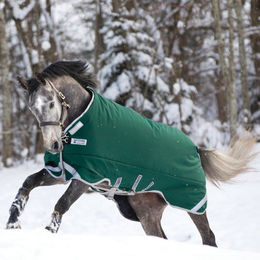 Horseware Rambo Original Turnout Heavy Pferdedecke mit Beinbögen Grün/Silber – Bild 1 von 2