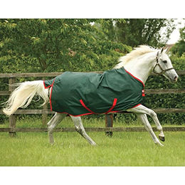 Horseware Rambo Original Turnout Lite 0g Pferdedecke Grün/Rot Größe 140 – Bild 1 von 6