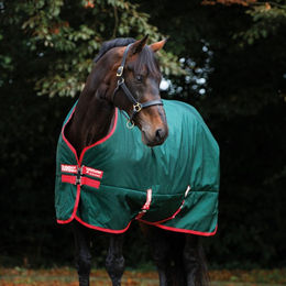 Horseware Rambo Original Turnout Lite Pferdedecke aus Nylon in Grün/Rot – Bild 1 von 3