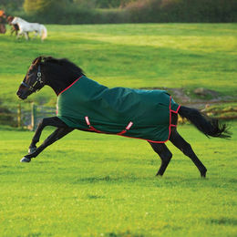 Horseware Rambo Original Turnout Lite Pferdedecke Grün/Rot – Bild 1 von 1