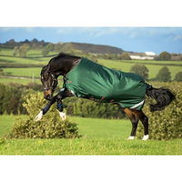 Produktbild von Horseware Rambo Original Turnout Lite Pferdedecke Grün/Rot 155