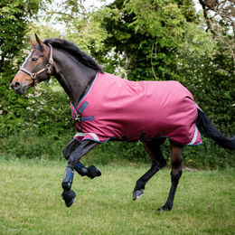Horseware Rambo Original Turnout Lite Pferdedecke mit Beinbögen Burgundy – Bild 1 von 1
