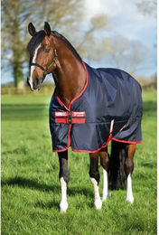 Horseware Rambo Original Turnout Outdoor-Decke für Pferde 200g Blau/Rot Grösse M - 200 g – Bild 1 von 2