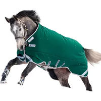 Produktbild von Horseware Rambo Outdoor-Decke für Pferde aus Nylon in Grün 125/175 cm