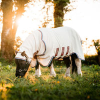 Produktbild von Horseware Rambo Petite Hoody Shetty Decke aus Polyester