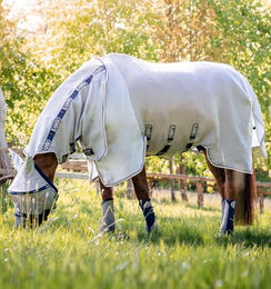 Horseware Rambo Protector Plus Fliegendecke für Pferde Silber/Blau – Bild 1 von 10