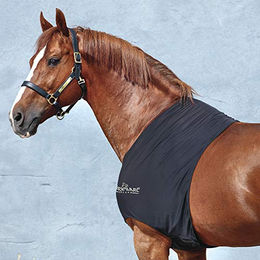 Produktbild von Horseware Rambo Slinky Shoulder Guard Decke Schwarz XS