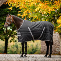 Produktbild von Horseware Rambo Stable 100g Stalldecke für Pferde Größe 160 Black/Thunderstorm Grey/Silver