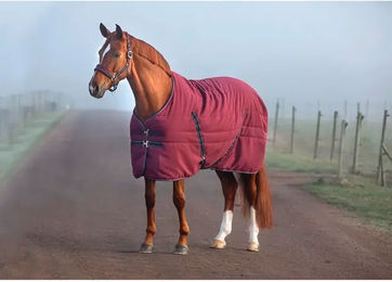Produktbild von Horseware Rambo Stable Stalldecke für Pferde aus Polyester in Rot