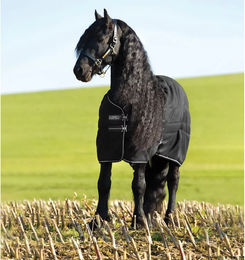 Produktbild von Horseware Rambo Stalldecke für Pferde aus Polyester in Schwarz 100g - 1 Stk.