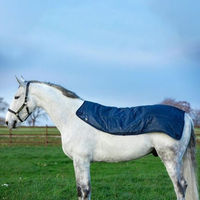 Produktbild von Horseware Rambo Summer Series Liner Decke aus Polyester Blau - 100 g