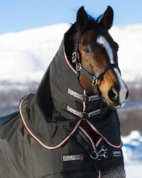 Horseware Rambo Supreme Hood Pferdedecke Schwarz Orange 150g – Bild 1 von 1
