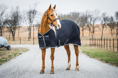 Produktbild von Horseware Rambo Techni-Waffle Abschwitzdecke für Pferde in Blau aus Polyester
