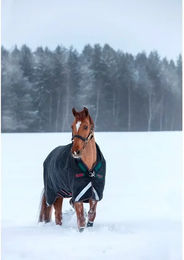 Horseware Rambo Wug Turnout Heavy 400g Outdoor-Pferdedecke aus Polyester - 400 g – Bild 1 von 2