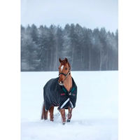 Produktbild von Horseware Rambo Wug Turnout Heavy 400g Outdoor-Pferdedecke aus Polyester - 400 g