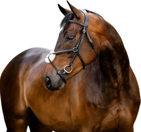 Horseware Reitset aus Leder mit Kopfstück Kreuzband und Zügel in Schwarz XXL – Bild 1 von 1