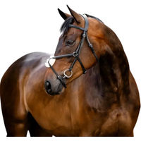 Produktbild von Horseware Reitset aus Leder mit Kopfstück Kreuzband und Zügel in Schwarz XXL
