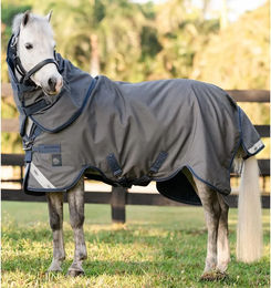 Horseware Rhino HexStop Plus Pony Outdoor-Decke mit 100g Füllung - 100 g – Bild 1 von 2